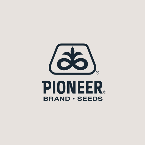 Pioneer
