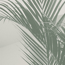 Crafting a naturally beautiful brand